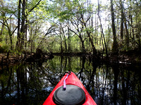 WITHLACOOCHEE RIVER – Dade City, Fla.