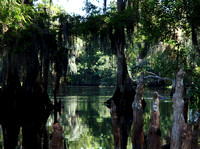 Geological data suggests that the Hillsborough River has been flowing for about 27,000 years.