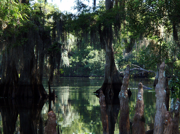 Geological data suggests that the Hillsborough River has been flowing for about 27,000 years.